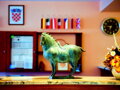 LARGE HOTEL SELCE
